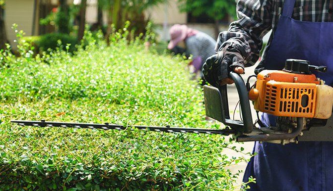 1929cc威尼斯景园教育版