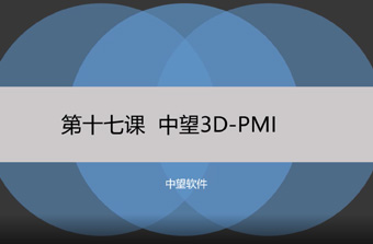 功能教程17：PMI